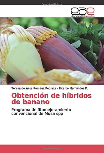 Obtención de híbridos de banano: Programa de fitomejoramiento convencional de Musa spp (Spanish Edition)