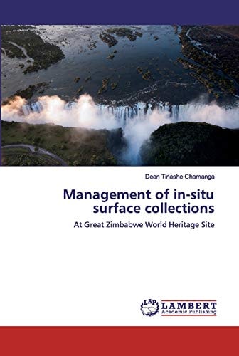 Management of in-situ surface collections: At Great Zimbabwe World Heritage Site