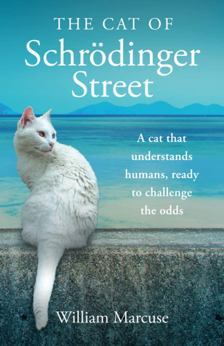 The Cat of Schrödinger Street: A cat that understands humans, ready to challenge the odds.
