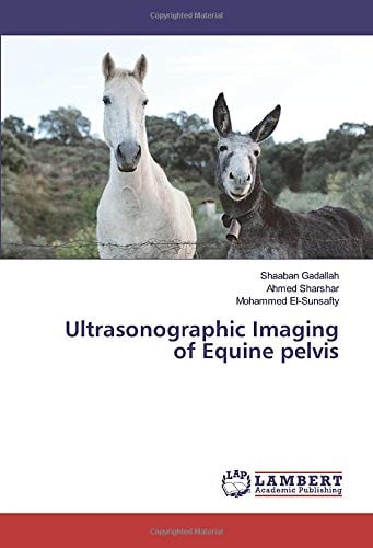Ultrasonographic Imaging of Equine pelvis