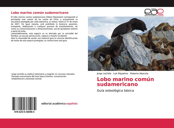Lobo marino común sudamericano: Guía osteológica básica (Spanish Edition)