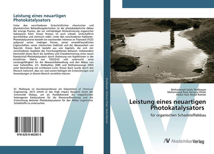 Leistung eines neuartigen Photokatalysators: für organischen Schadstoffabbau (German Edition)