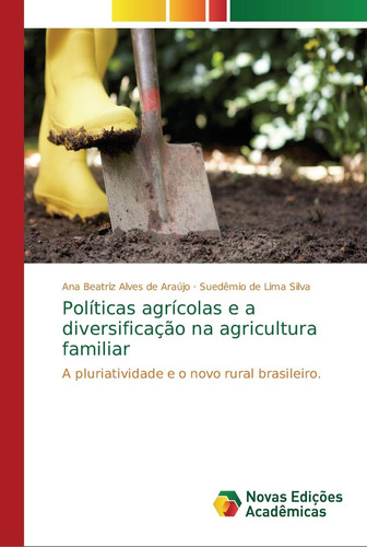 Políticas agrícolas e a diversificação na agricultura familiar: A pluriatividade e o novo rural brasileiro (Portuguese Edition)