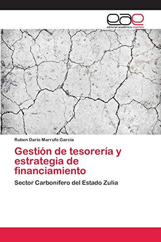 Gestión de tesorería y estrategia de financiamiento (Spanish Edition)
