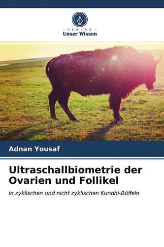 Ultraschallbiometrie der Ovarien und Follikel: in zyklischen und nicht zyklischen Kundhi-Büffeln (German Edition)