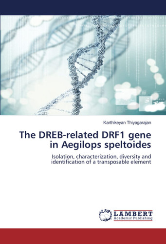 The DREB-related DRF1 gene in Aegilops speltoides: Isolation, characterization, diversity and identification of a transposable element