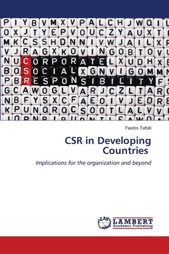 CSR in Developing Countries: Implications for the organization and beyond