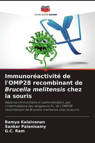 Immunoréactivité de l'OMP28 recombinant de Brucella melitensis chez la souris (French Edition)