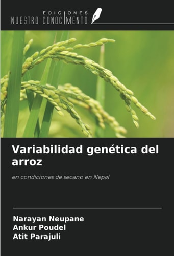Variabilidad genética del arroz: en condiciones de secano en Nepal (Spanish Edition)