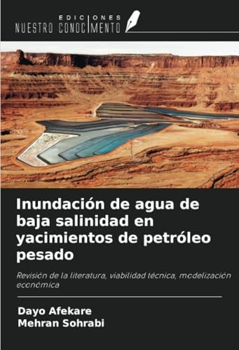 Inundación de agua de baja salinidad en yacimientos de petróleo pesado: Revisión de la literatura, viabilidad técnica, modelización económica (Spanish Edition)