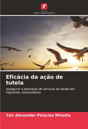 Eficácia da ação de tutela: assegurar a prestação de serviços de saúde aos migrantes venezuelanos