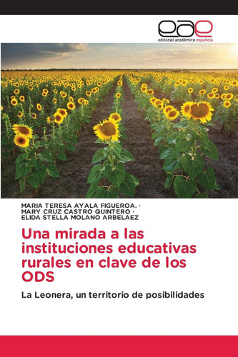 Una mirada a las instituciones educativas rurales en clave de los ODS (Spanish Edition)