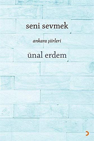 Seni Sevmek Ankara Siirleri