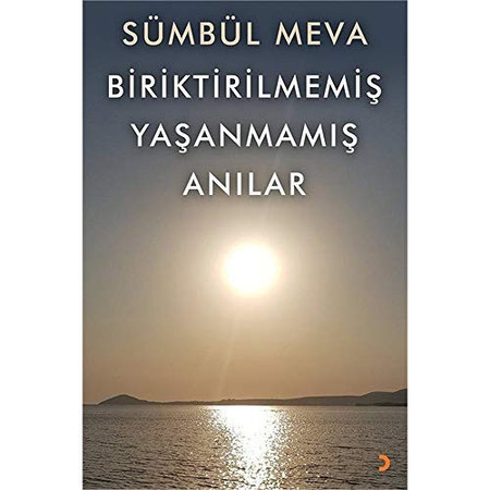 Biriktirilmemis Yasanmamis Anilar