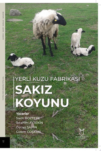 Yerli Kuzu Fabrikası Sakız Koyunu
