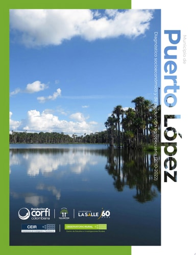 Municipio de Puerto López (Meta) Diagnóstico socioeconómico y de producción agropecuaria (2010-2022)