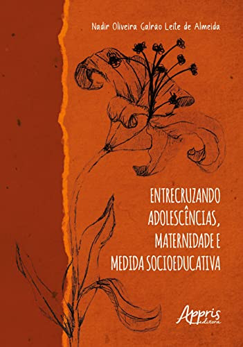 Entrecruzando adolescências, maternidade e medida socioeducativa