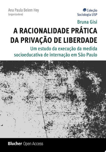 A racionalidade prática da privação de liberdade Um estudo da execução da medida socioeducativa de internação em São Paulo