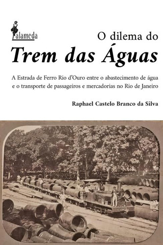 O DILEMA DO TREM DAS ÁGUAS