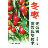 [H1 genuine jujube pollution efficient cultivation techniques(Chinese Edition)