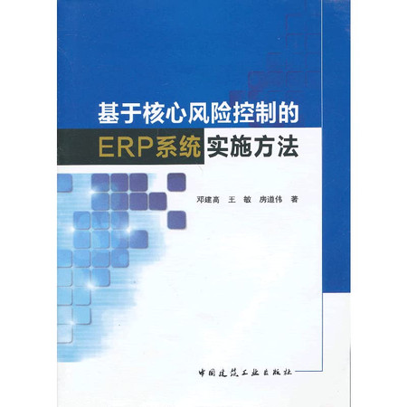 Implementation of ERP systems based on the core risk control(Chinese Edition)