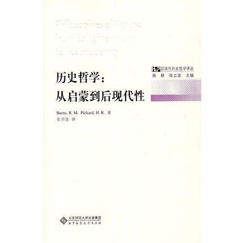 Philosophy of History: From Enlightenment to Postmodernity [paperback]