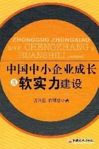 growth of SMEs in China and soft power building