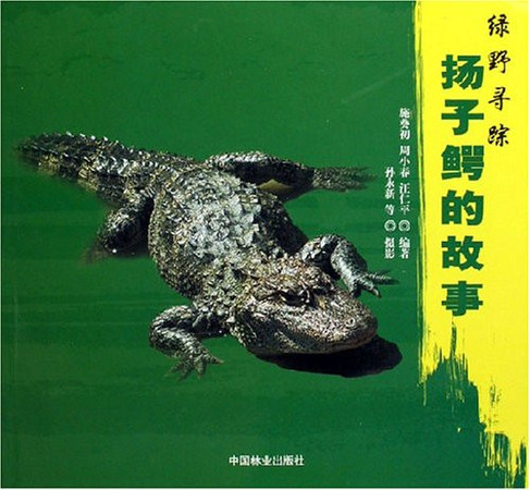 Alligator Story (paperback)