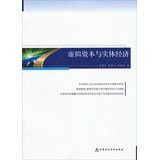 Virtual capital and the real economy(Chinese Edition)