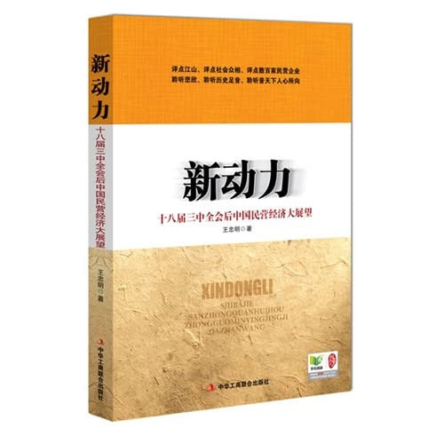 New Power: eighteen Third Plenary Session of the anti-Chinese private economic outlook(Chinese Edition)