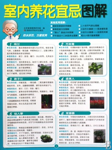 Illustration of Compatibility and Incompatibility of Indoor Flower Cultivation (Chinese Edition)