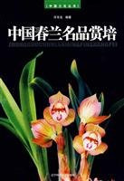 Superior Spring Orchid (Cymbidium goeringii) of China