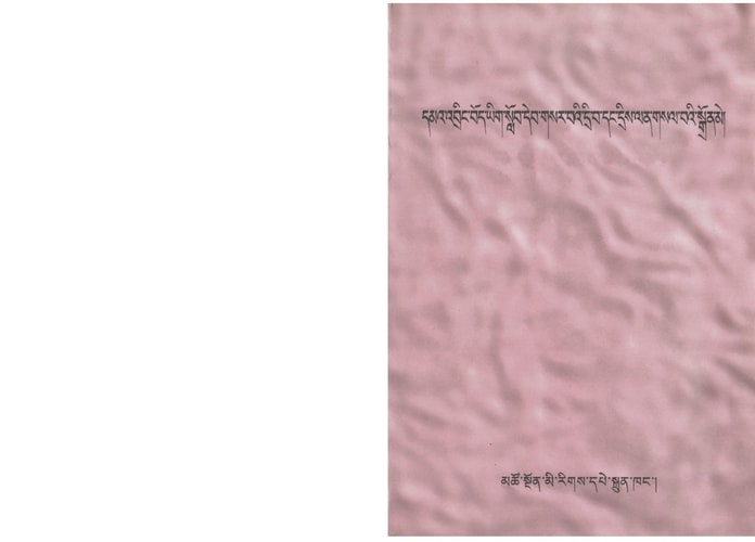 ʼDma briṅ Bod yig slob deb gsar baʼi dri ba daṅ dris lan gsal baʼi sgron me