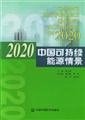 2020 China Sustainable Energy Scenarios