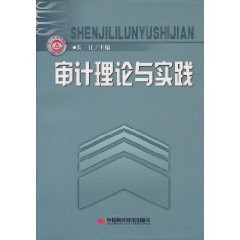 audit theory and practice(Chinese Edition)