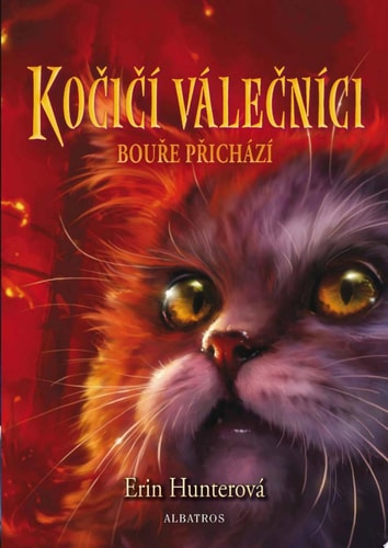 Kočičí válečníci (4) - Bouře přichází