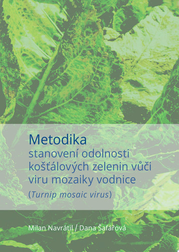 Metodika stanovení odolnosti košťálových zelenin vůči viru mozaiky vodnice (Turnip mosaic virus)