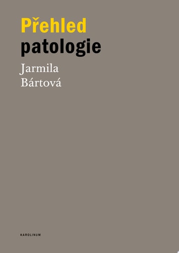 Přehled patologie