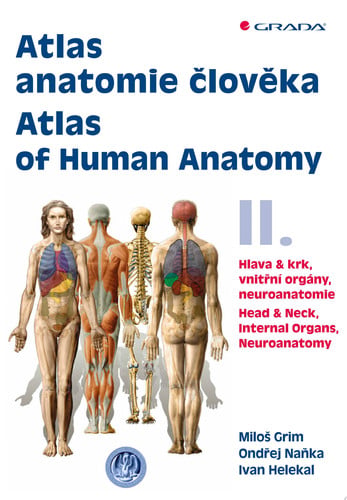 Atlas anatomie člověka II. - Atlas of Human Anatomy II. Hlava a krk, vnitřní orgány, neuroanatomie - Head and Neck, Internal Organs, Neuronatomy