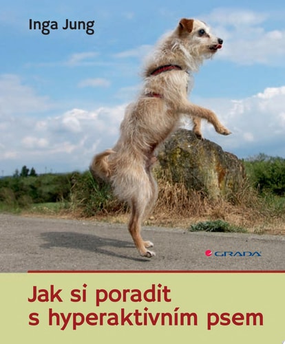 Jak si poradit s hyperaktivním psem