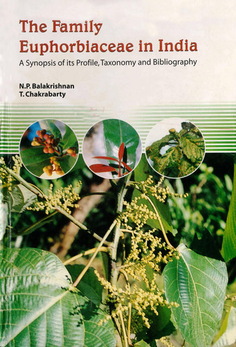 The Family Euphorbiaceae in India