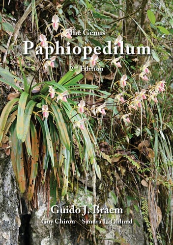 The Genus Paphiopedilum