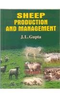 Sheep Production and Management