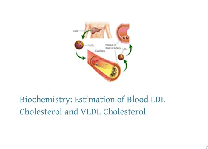Estimation of Blood LDL Cholesterol and VLDL Cholesterol
