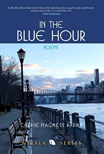 In the Blue Hour: Poems