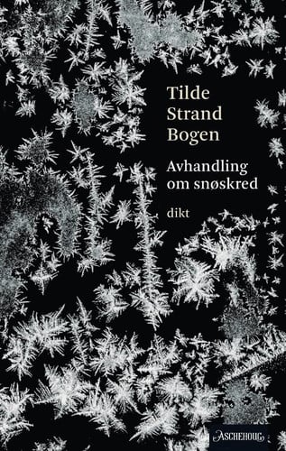 Avhandling om snøskred