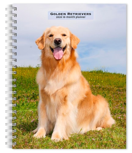 Golden Retrievers 2026 Weekly Engagement Planner Calendar