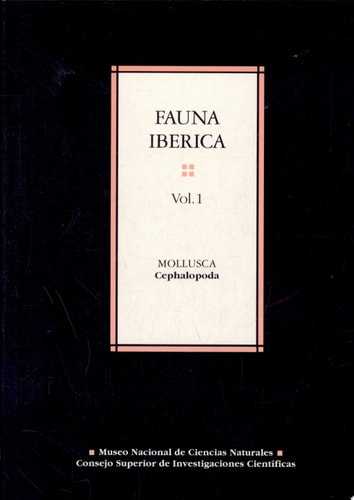 Mollusca, Cephalopoda