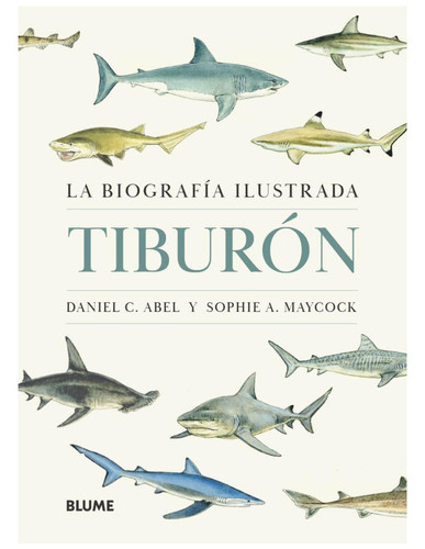 Tiburón