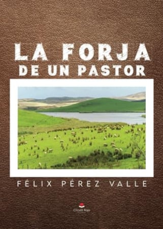 La forja de un pastor